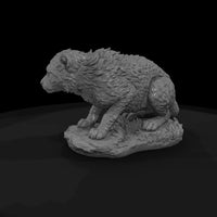 ant-012-cheetah-adolescent — thumbnail 5
