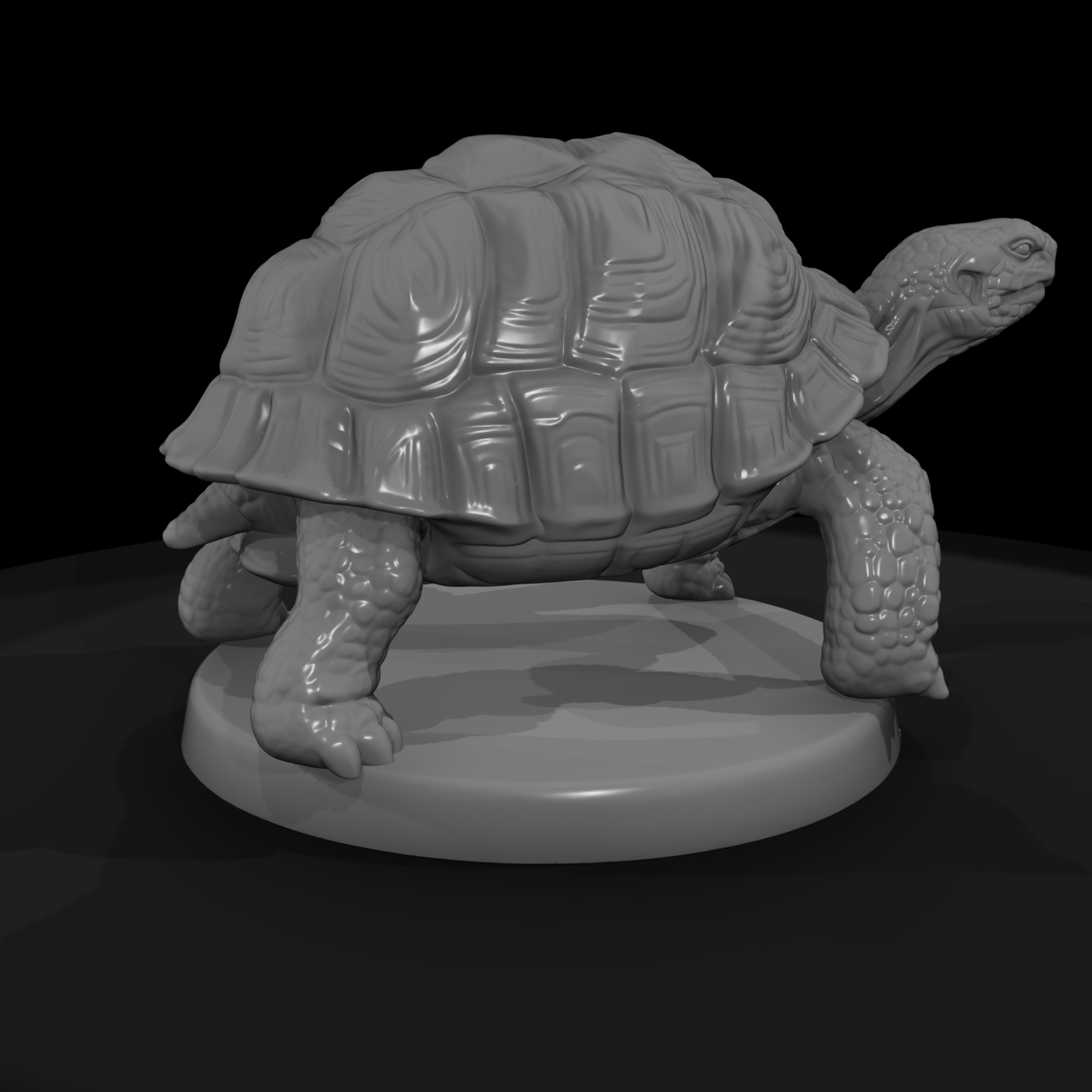 Giant Land Tortoise
