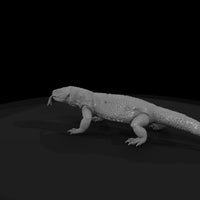 ww-0334-animal-gila-monster — thumbnail 5