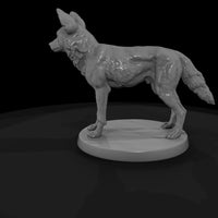ant-166-african-wild-dog-male — thumbnail 5