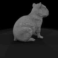 ant-258-capybara-adolescent — thumbnail 5