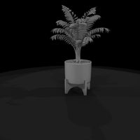 stylized-minimalist-potted-palm-3d-model-2bjzyfrf — thumbnail 5