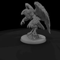 creature-p115-ash-talon-harpy-beast — thumbnail 5