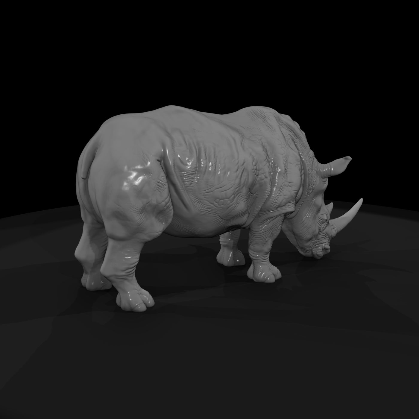ant-031-white-rhinoceros-male