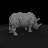 ant-031-white-rhinoceros-male — thumbnail 5