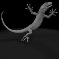 detailed_3d_lizard_reptile_model_uk1vjpbd — thumbnail 5