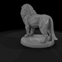 ant-001-lion-male — thumbnail 5