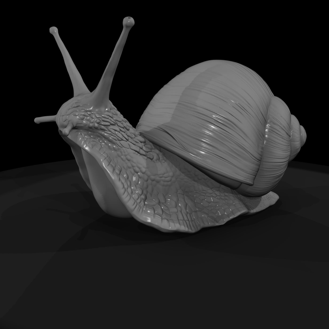 20260612-snail-on-green-leaf-a437ee3019