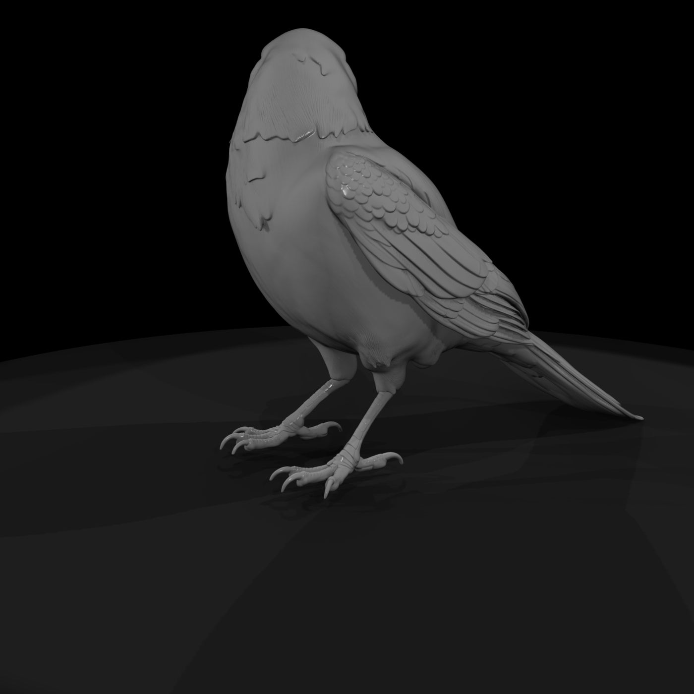 20260612-black-crow-bird-b98ca4224b