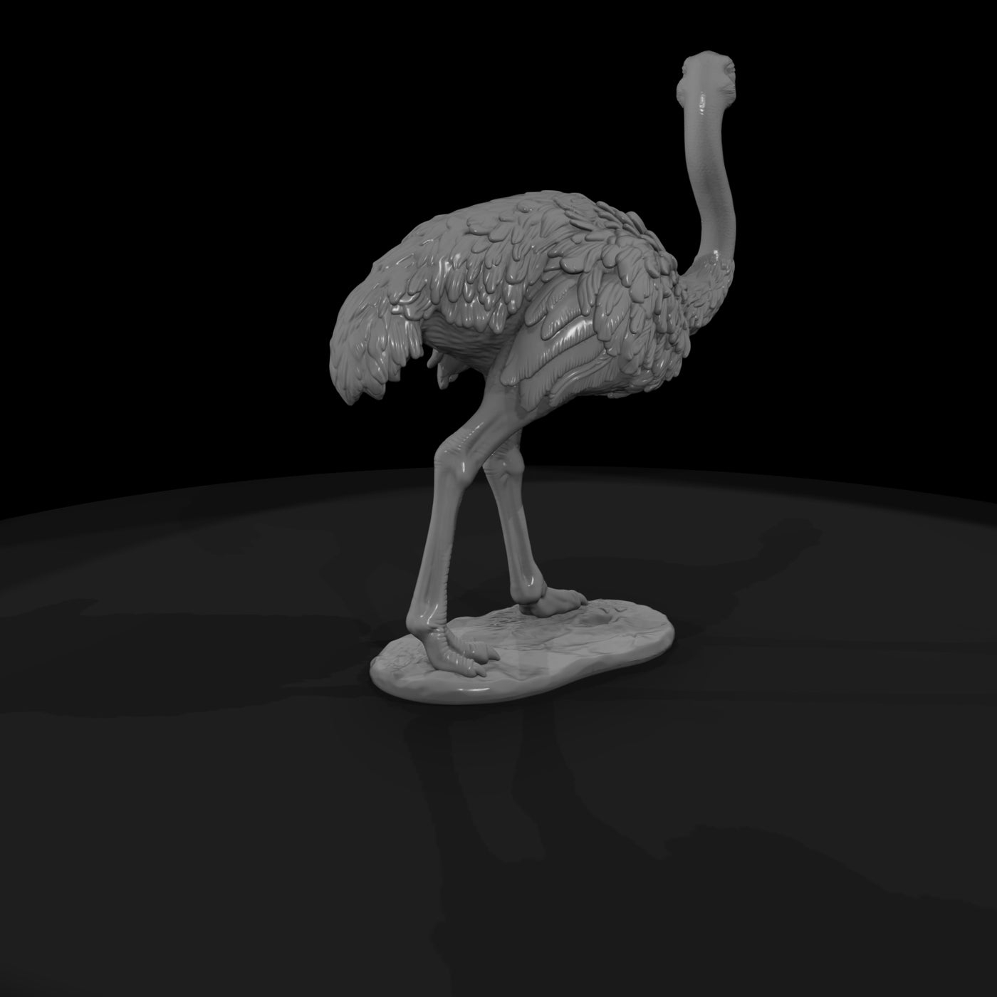 ant-083-ostrich-female