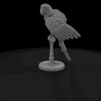 cir-130-animal-macaw-on-perch — thumbnail 5