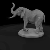 ant-022-african-elephant-male — thumbnail 5