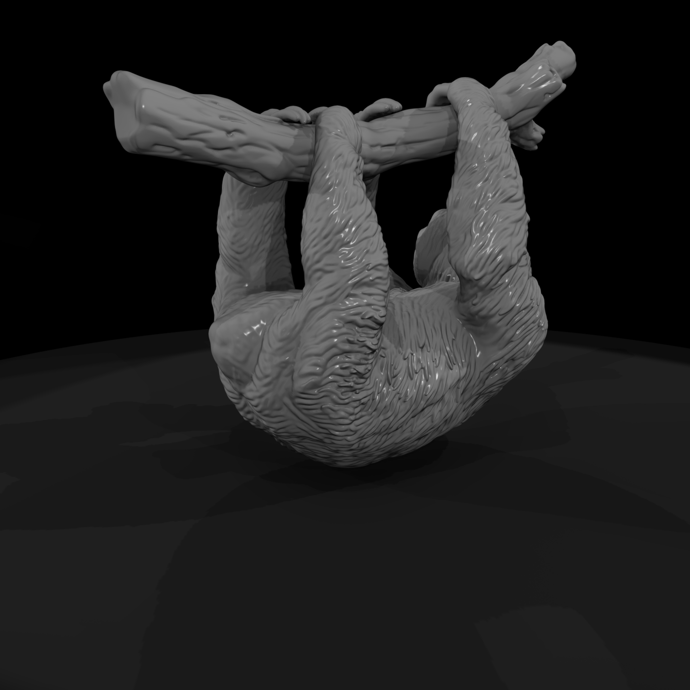 Ant 202 Three Toed Sloth Male