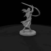 Elf Blademaster with Trailing Sash — thumbnail 6