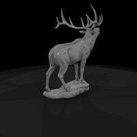ant-043-elk-male — thumbnail 5