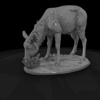 ant-248-waterbuck-female — thumbnail 5