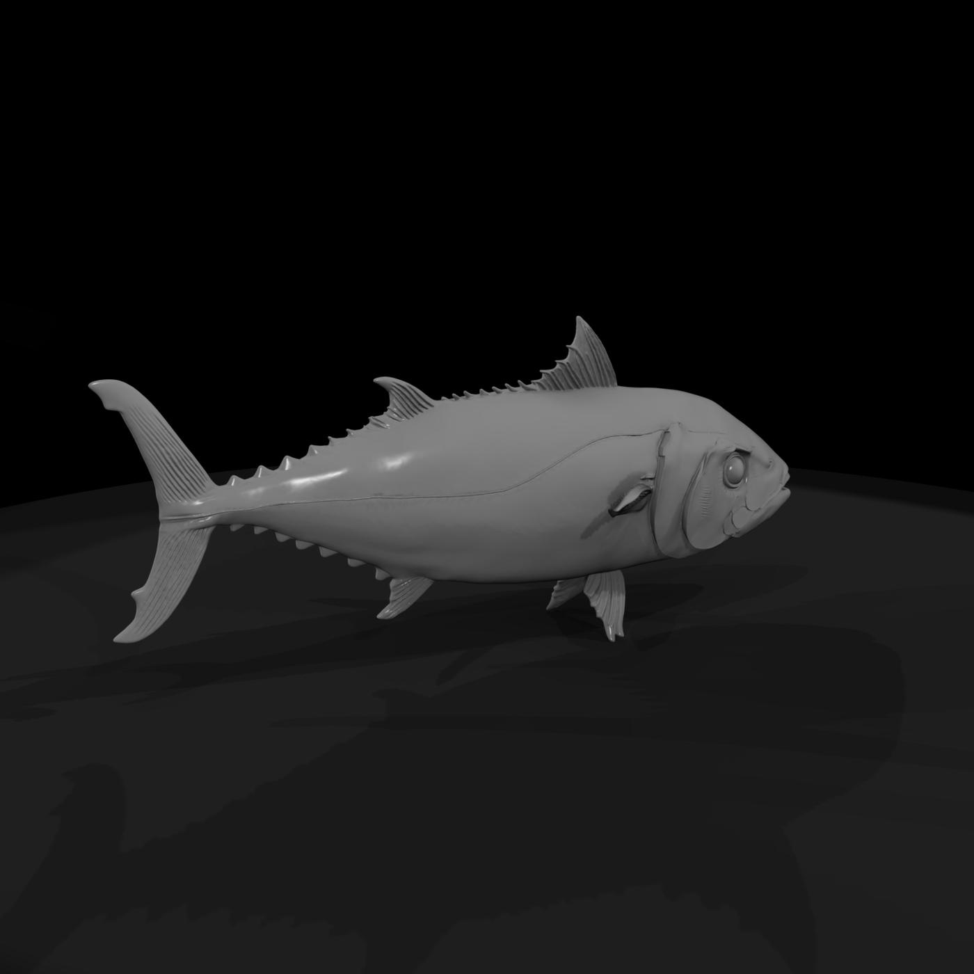 Realistic Tuna Fish & Display