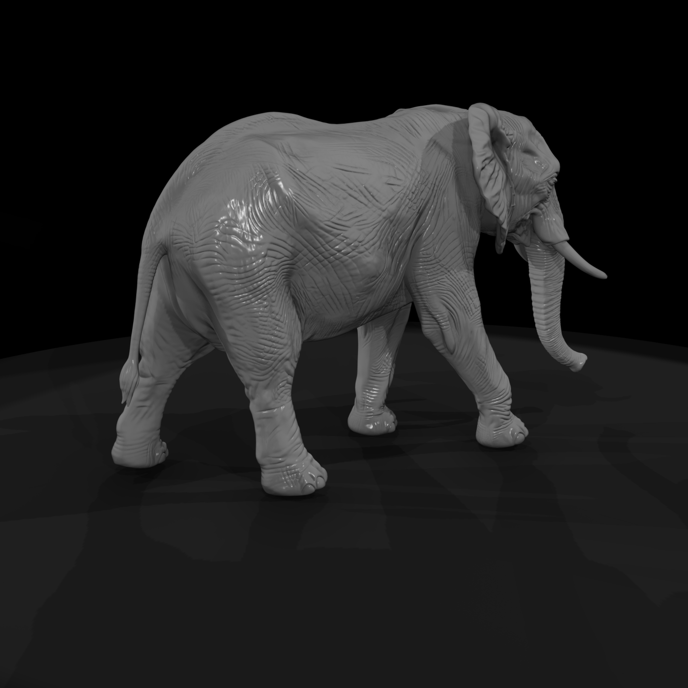 Ant 023 African Elephant Female