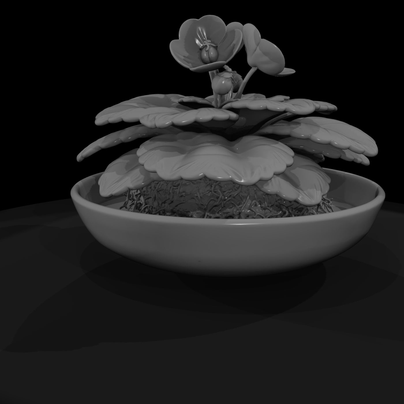 potted-african-violet-miniature-3d-printable-462562