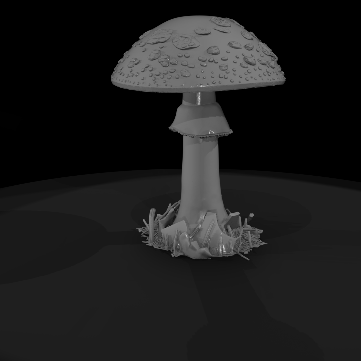 Fly Agaric Mushroom