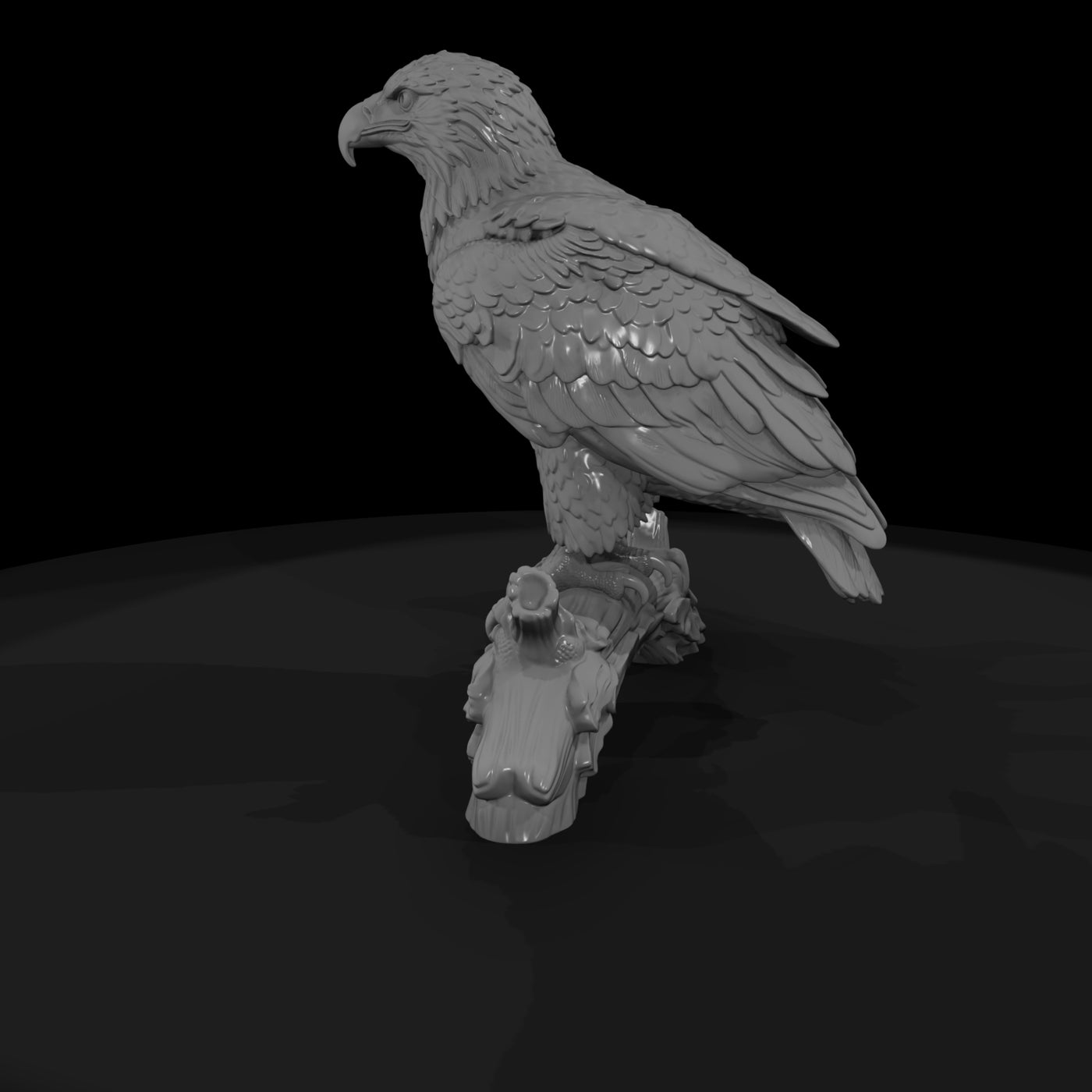 ant-114-bald-eagle-adolescent
