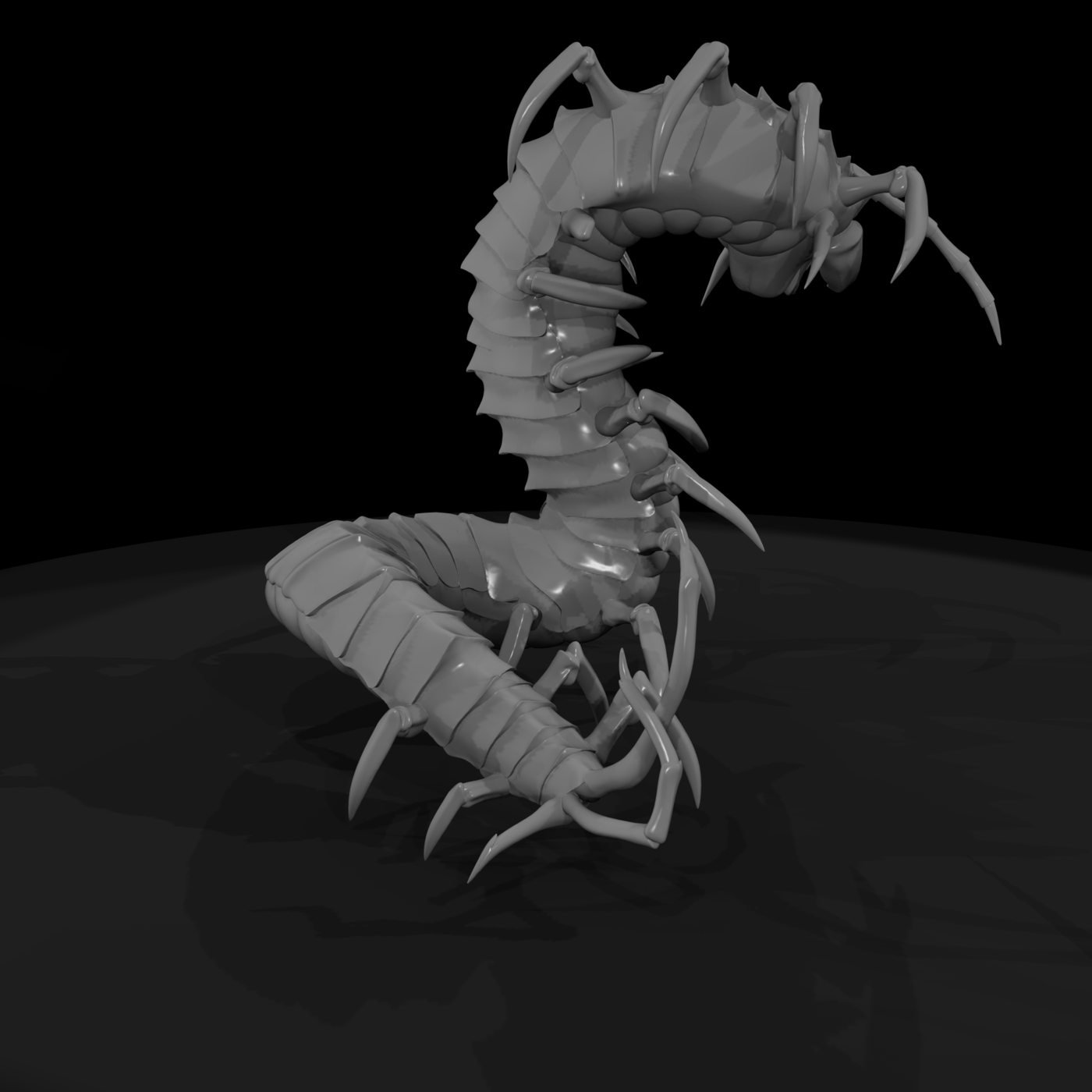 Giant Centipede