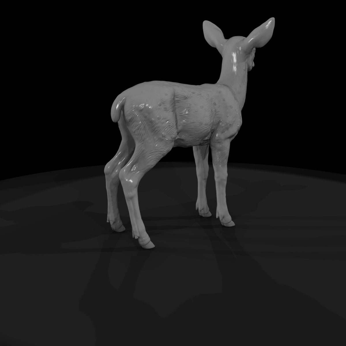 ant-042-red-deer-adolescent