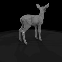 ant-042-red-deer-adolescent — thumbnail 5
