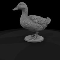 ww-0310-animal-duck — thumbnail 5