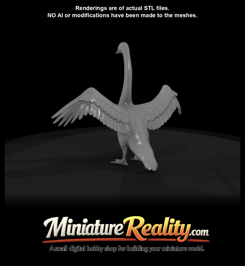 swan-spreading-with-wings-estimated