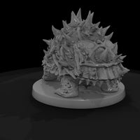 hitem2-p060-briar-tortoise — thumbnail 5