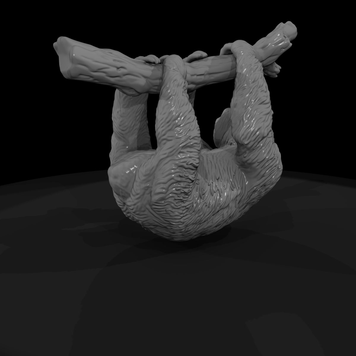 ant-202-three-toed-sloth-male