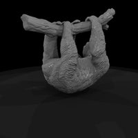 ant-202-three-toed-sloth-male — thumbnail 5