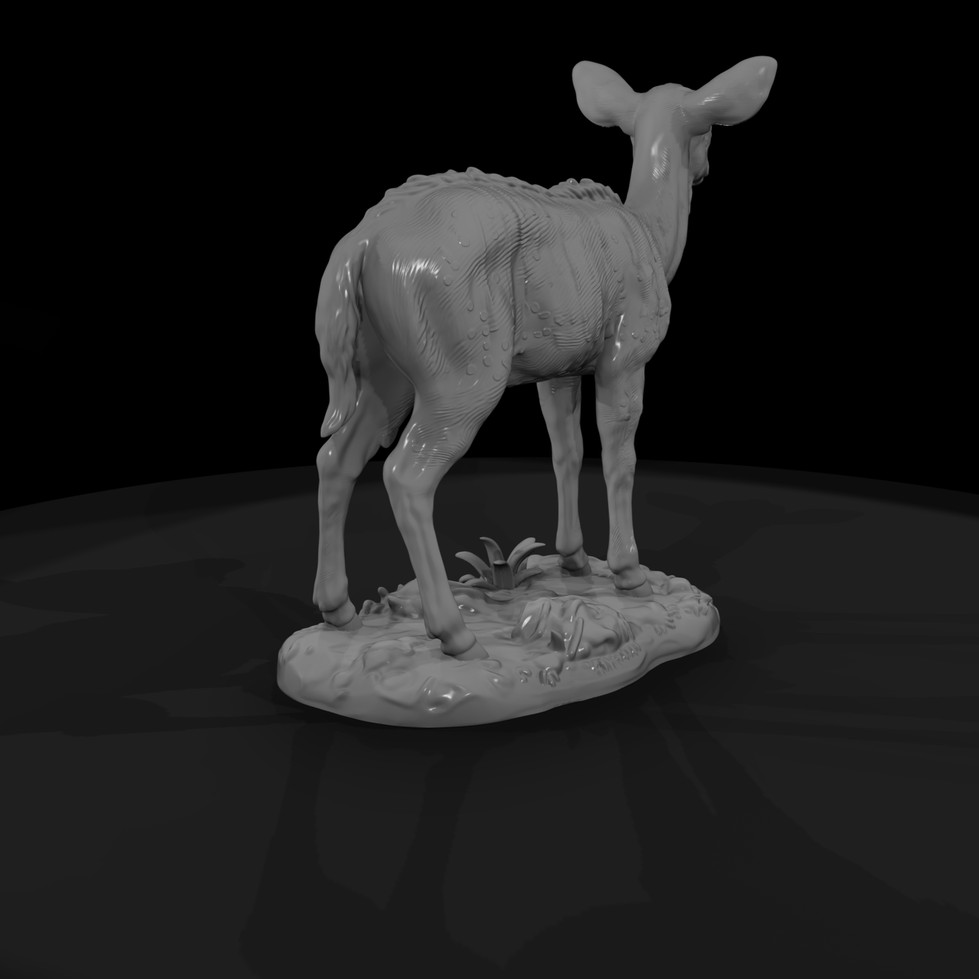 Young Nyala Antelope