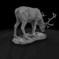 ant-062-caribou-female — thumbnail 5