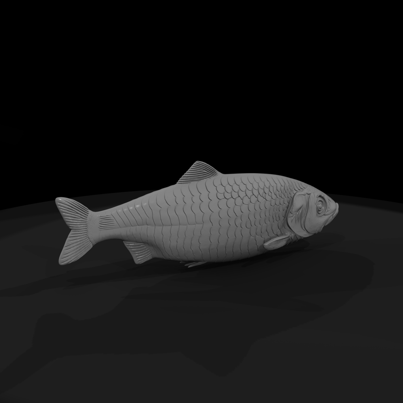 Realistic Herring Fish & Displays