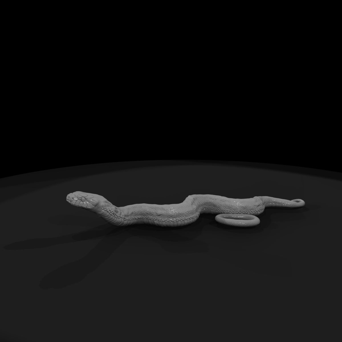ww-0333-animal-gopher-snake