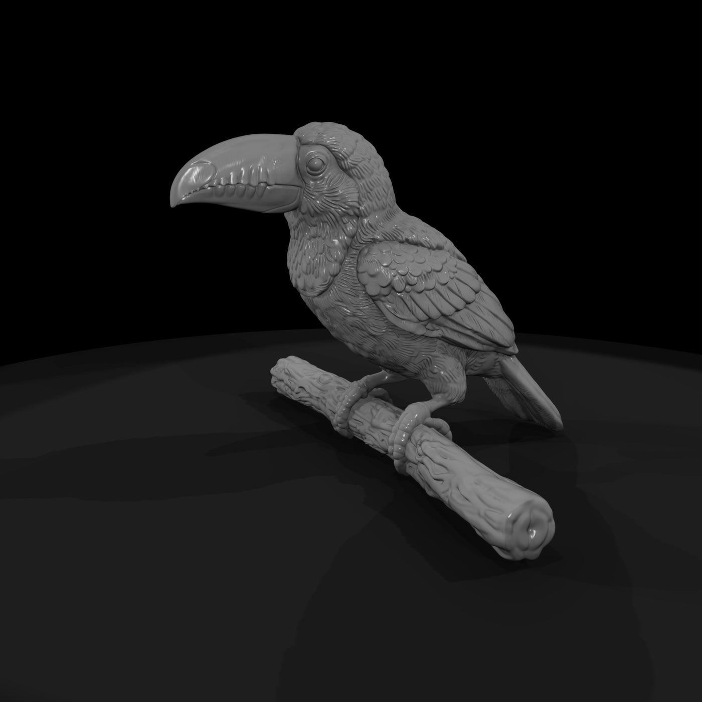 ant-288-toco-toucan-adolescent