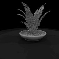 stylized-monochrome-potted-fern-3d-model-1qq57jce — thumbnail 5