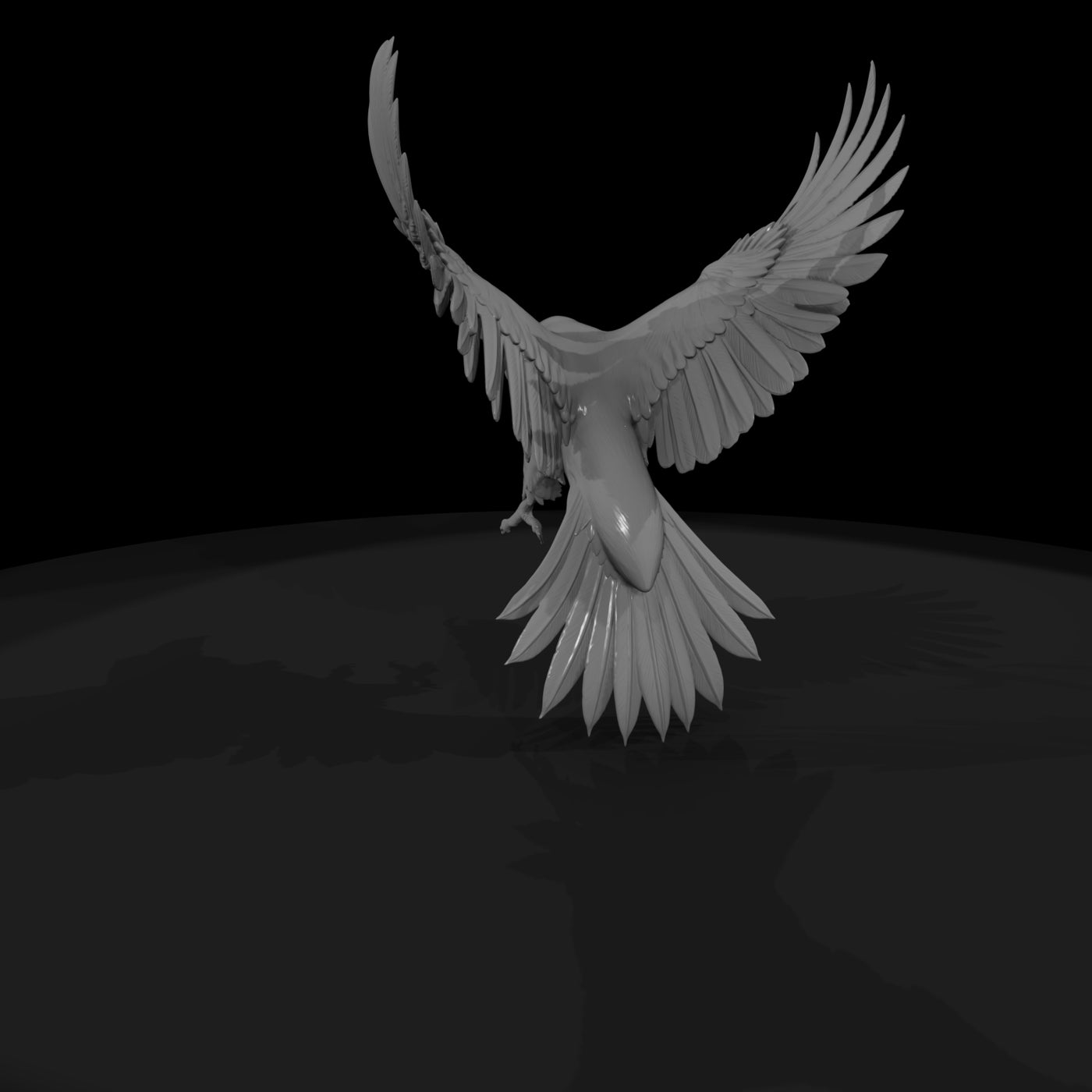 20260612-black-flying-raven-72becd3757