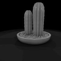 minimalist-potted-cactus-miniature-576781 — thumbnail 6