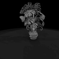 deadly-plants-monstera-devourer — thumbnail 7