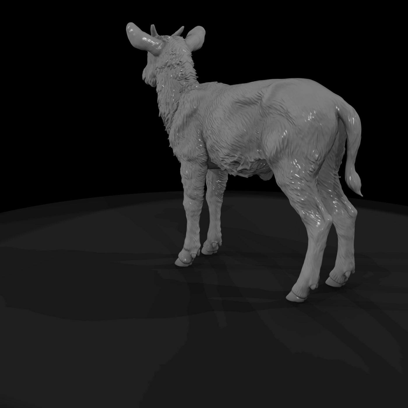 ant-249-waterbuck-adolescent