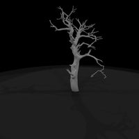 20260612-ancient-gnarled-dead-tree-d8d5631dc7 — thumbnail 6