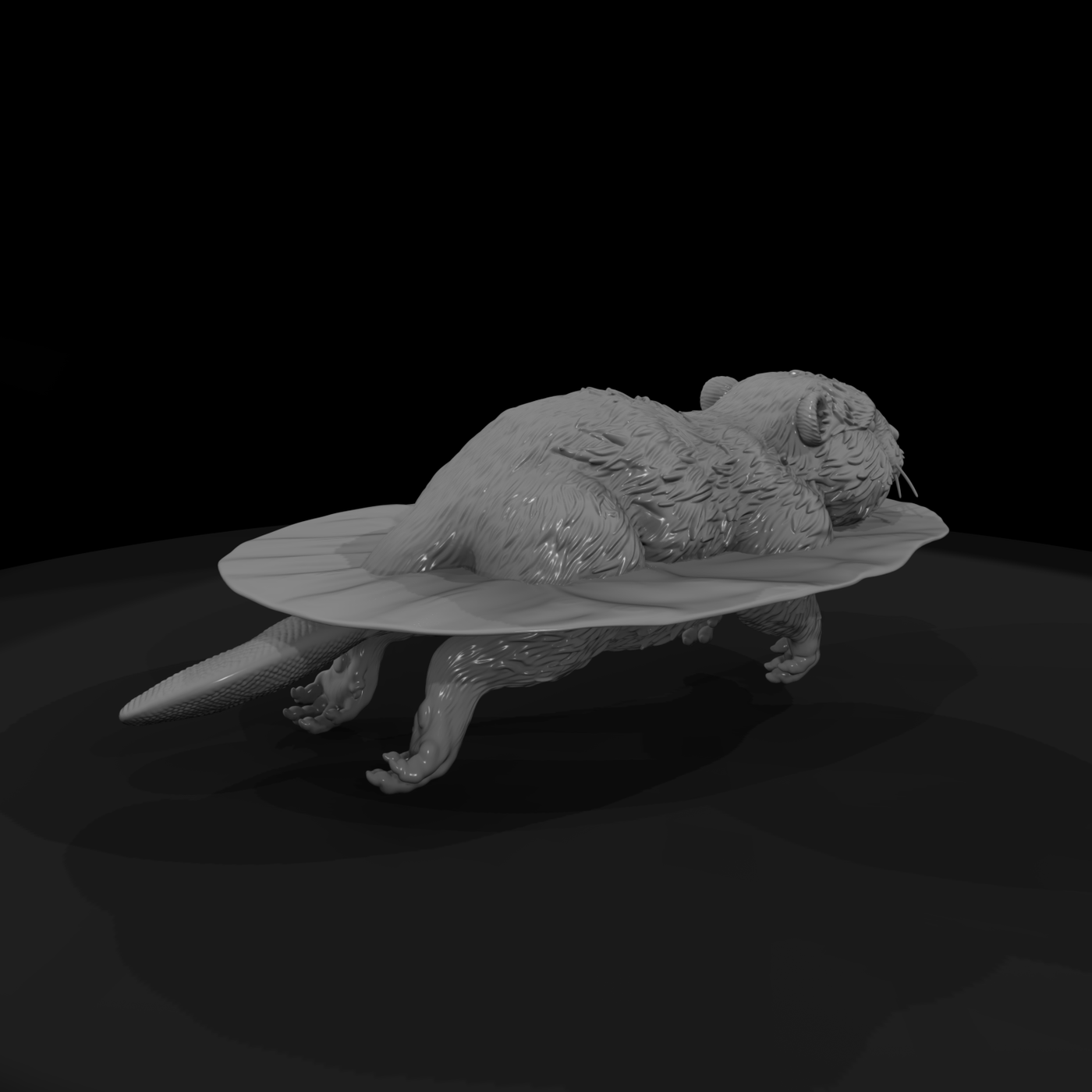 Adolescent Beaver