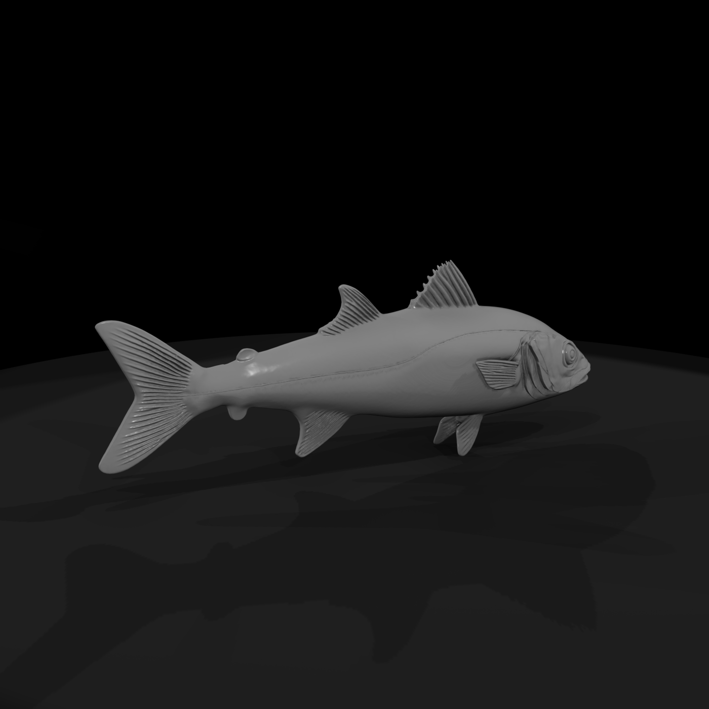 Realistic Saltwater Fish