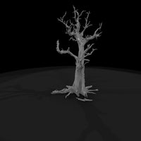 20260612-gnarled-dead-tree-0a1498bdad — thumbnail 5