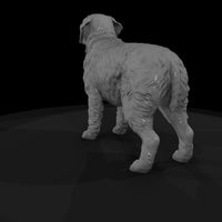 hunting-dog — thumbnail 7