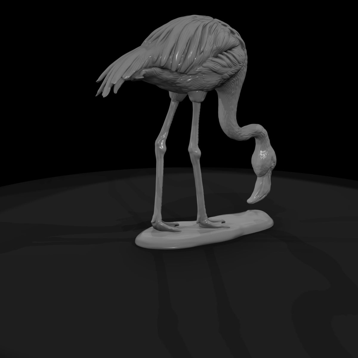 ant-128-greater-flamingo-female