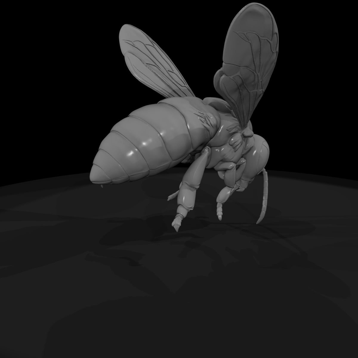 honey-bee-miniature-detailed-landing-pose-for-dioramas-displays-650462